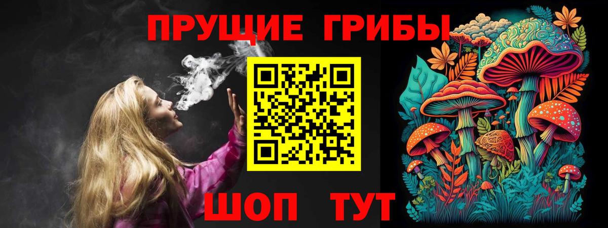 Псилоцибиновые грибы MAGIC MUSHROOMS  Вход с VPN  Якутск  Псилоцибиновые грибы прущие грибы 